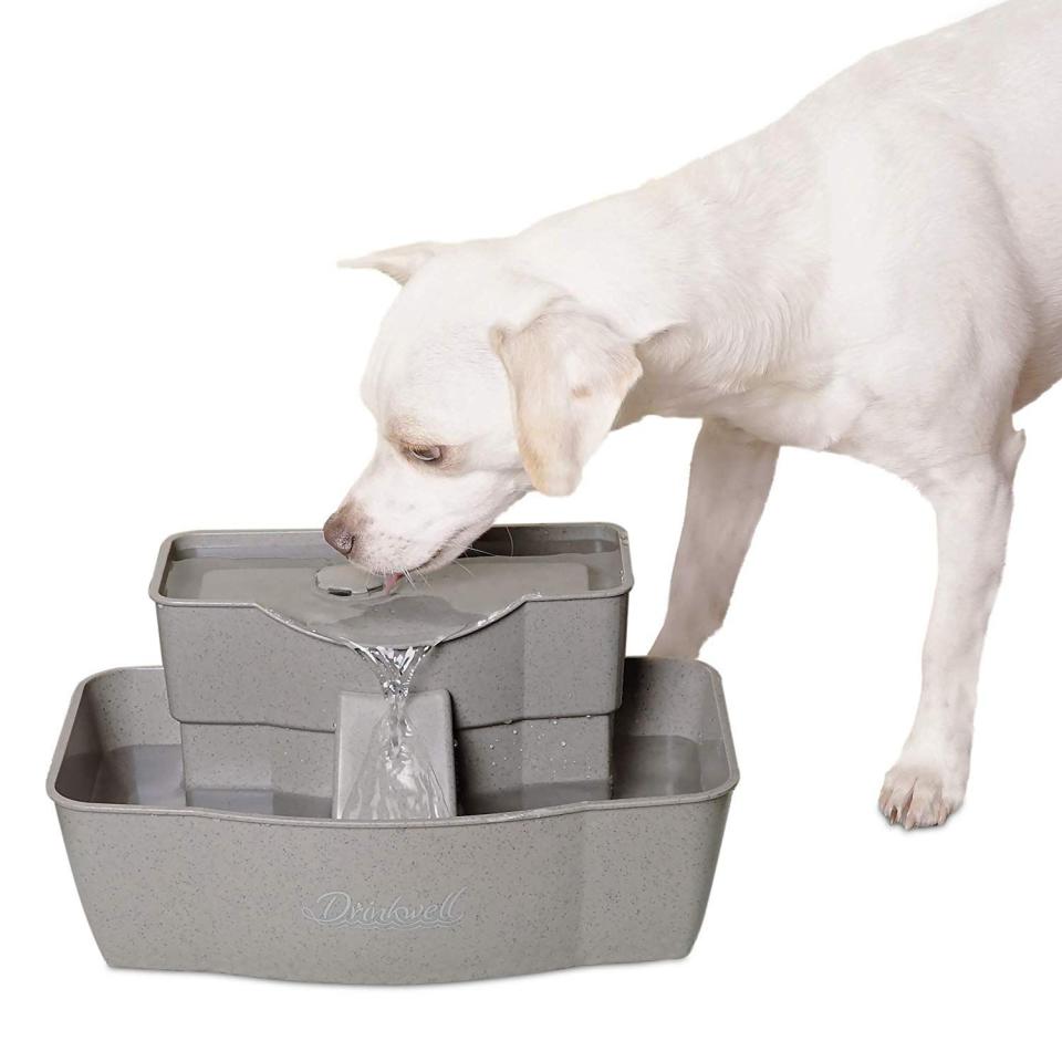 PetSafe Drinkwell Multi-Tier Dog and Cat Water Fountain