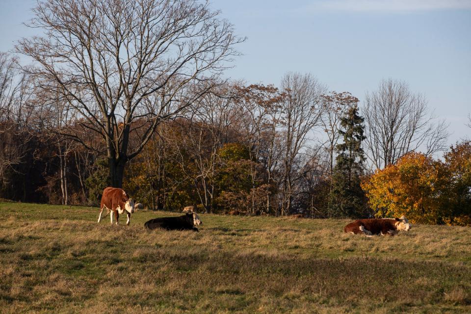 Potter's Farm in Holmdel, seen in this 2021 file photo.