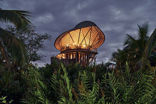 <p>Cristóbal Palma</p> One of the 50-foot tree-house accommodations at Nayara Bocas del Toro.