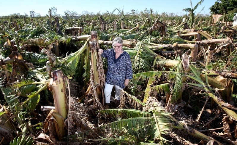 Carnarvon banana platation owner Margaret Day of Eshnadarra has lost her crop. Picture: Sharon Smith/The West Australian