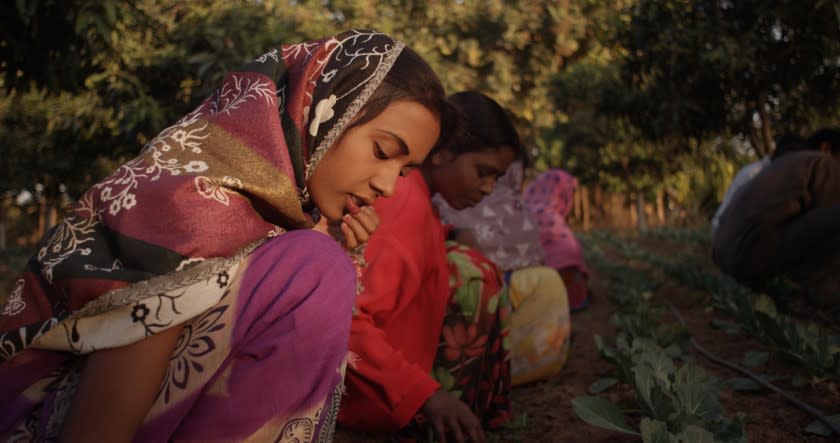 Women and girls weeding a vegetable garden in a rural area of Jharkhand in Eastern India in the documentary "8 Billion Angels."
