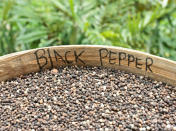 <p><b>Black pepper (kali mirch)</b>: This dried fruit is a digestive, stimulant, appetizer, expectorant and a great nervine tonic (it acts upon therapeutically upon the nerves). Most of us have used it as an effective home remedy for cough and cold.</p>