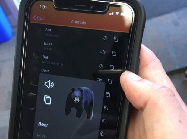 One of the sections found in L’nui’suti, a Mi’kmaw language app, features the spelling and pronunciations of Canadian wildlife.  (Erin Pottie/CBC - image credit)