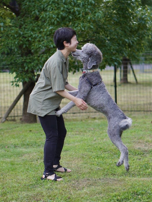 Dog happy to see owner.