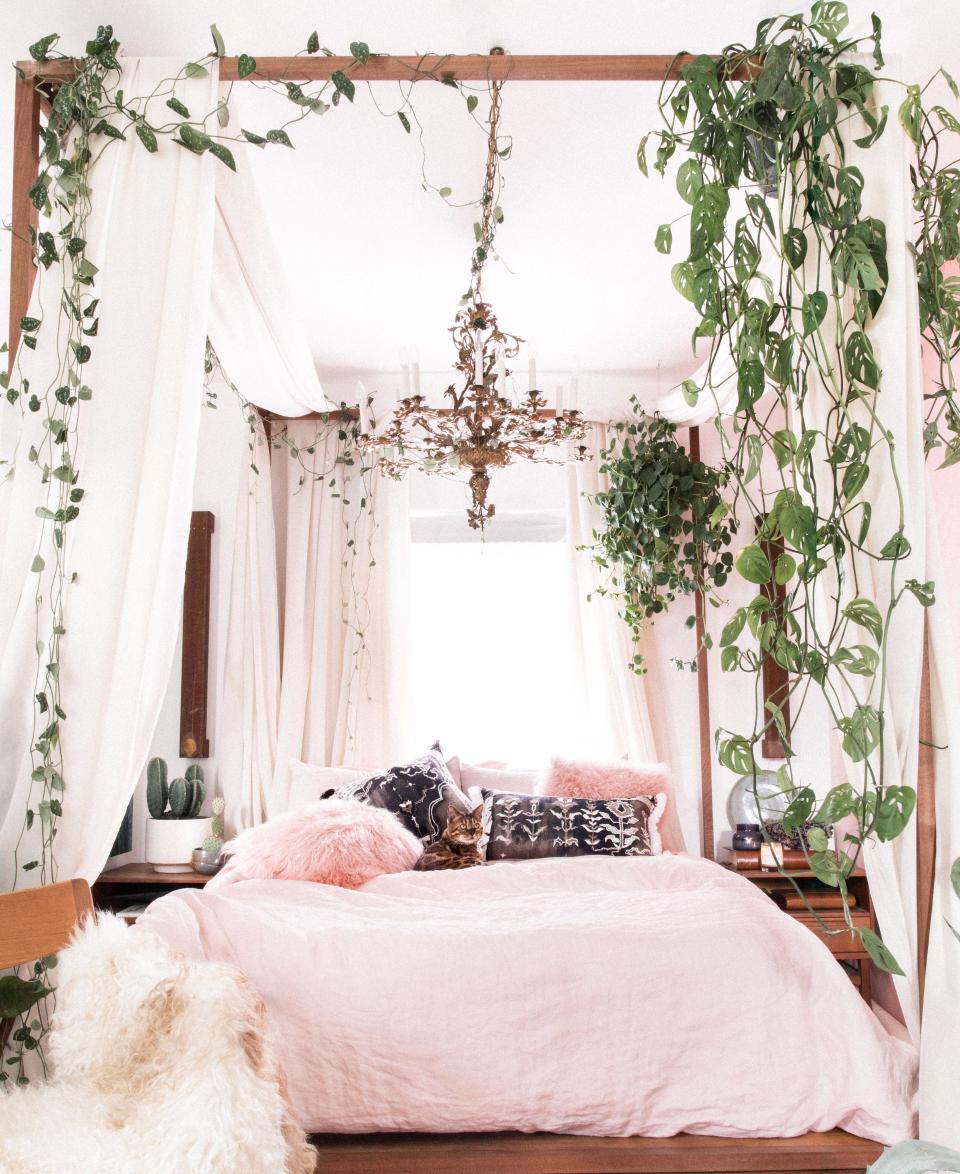 It all started here, with photographer Chelsae Anne's snap of her whimsical living canopy bed on Instagram.