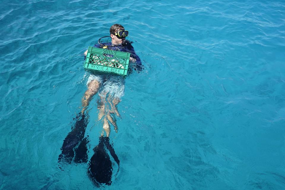 University of Miami Rosenstiel School of Marine, Atmospheric, and Earth Science senior research associate Dalton Hesley swims out with supplies, Friday, Aug. 4, 2023, on Paradise Reef near Key Biscayne, Fla. Scientists from the University of Miami Rosenstiel School of Marine, Atmospheric, and Earth Science established a new restoration research site there to identify and better understand the heat tolerance of certain coral species and genotypes during bleaching events. (AP Photo/Wilfredo Lee)