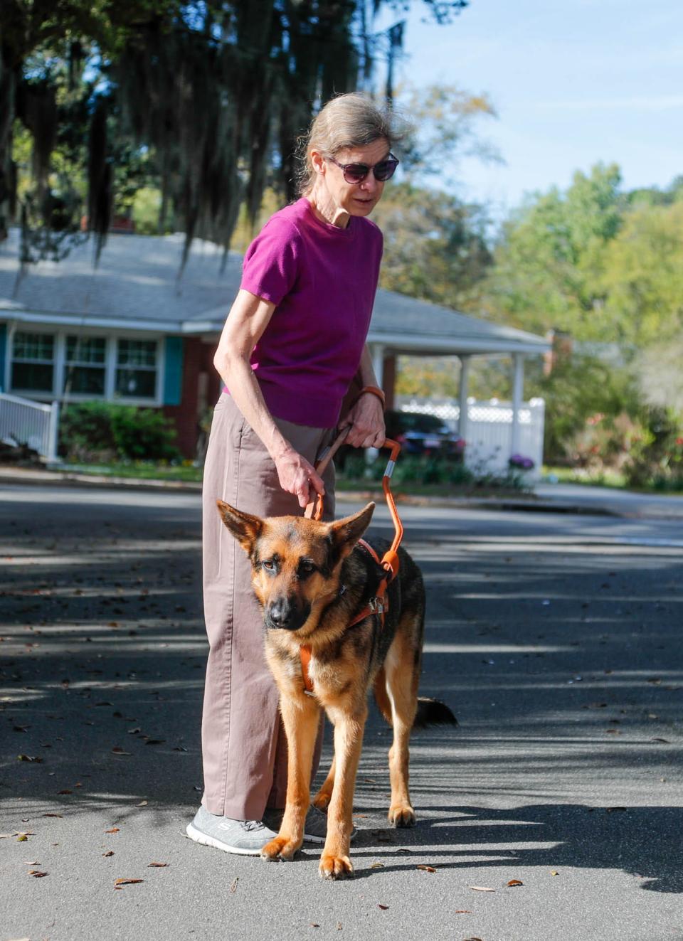 Marj Schneider's new guide dog stands in front of her as they wait to cross the street during a walk in her Savannah neighborhood.