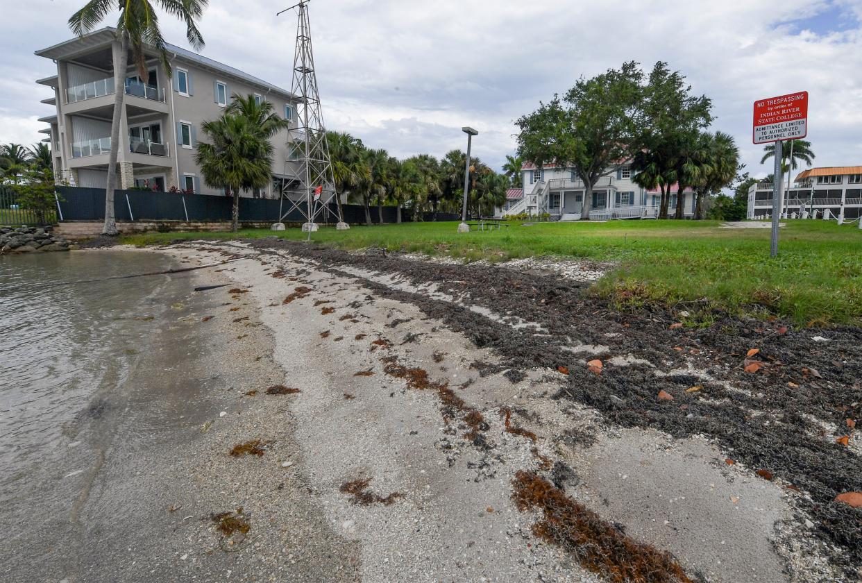 The shoreline is seen behind the old U. S. Coast Guard building and grounds at 1420 Seaway Drive is seen on Thursday, June 1, 2023, in Fort Pierce. The addition of a dock behind the building is a possibility.