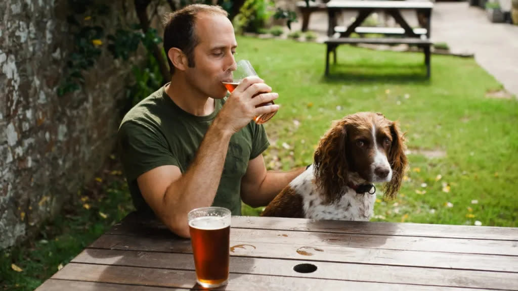 Man sitting in pub or bar garden with Spaniel dog drinking pint of beer.