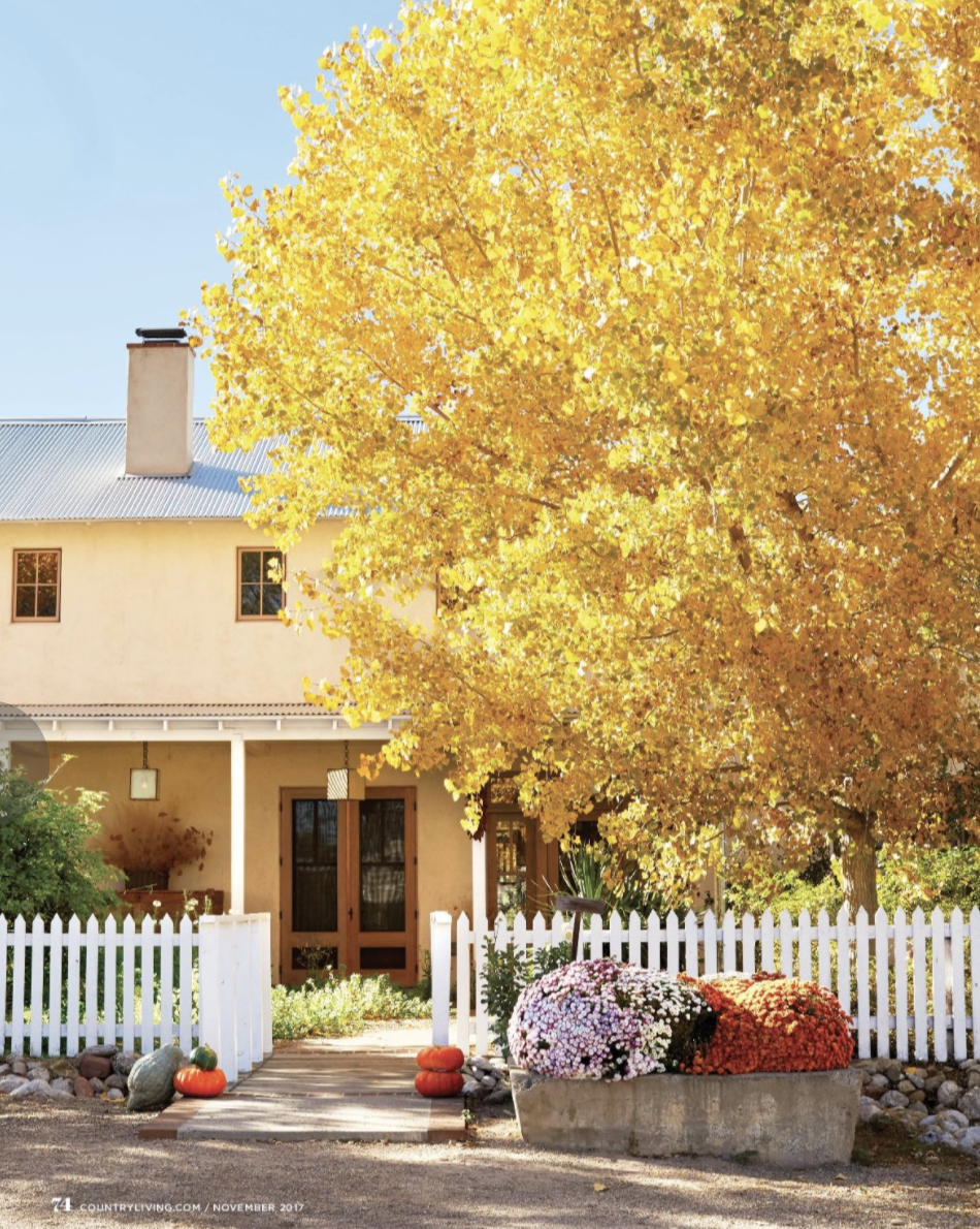 <p>Pile the fam in the car and cruise around town looking for the most vibrant fall color. Or turn the outing into a color-themed scavenger hunt, and see whether you can find everything from yellow mums to red maples. </p>