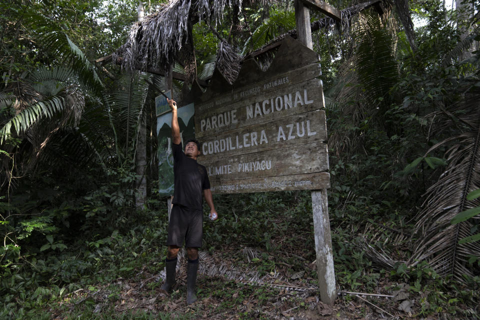 A resident of Puerto Franco community cuts plants with a machete in front of a sign announcing the limit of the Cordillera Azul National Park in Peru's Amazon, Monday, Oct. 3, 2022. Analysis by independent experts and reporting by The Associated Press raise doubts about whether a program to sell carbon credits is delivering on its promise to stop deforestation in the park and balance out carbon emissions by the companies buying the credits. (AP Photo/Martin Mejia)
