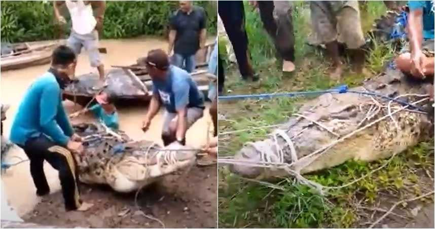 印度一隻鱷魚攻擊當地少女，雖然導致對方死亡，但少女遺體完整無缺。（圖／翻攝自YouTube）