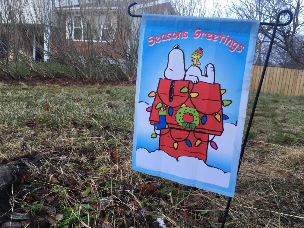 It's set to be a green Christmas in New Brunswick, Charlie Brown. (John Gushue/CBC - image credit)