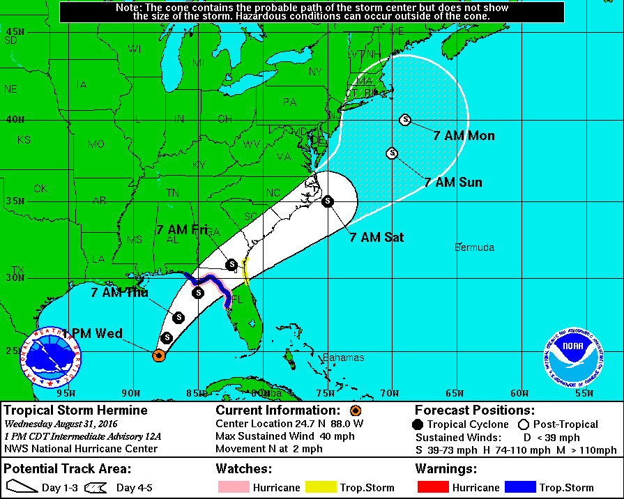 tropical storm hermine