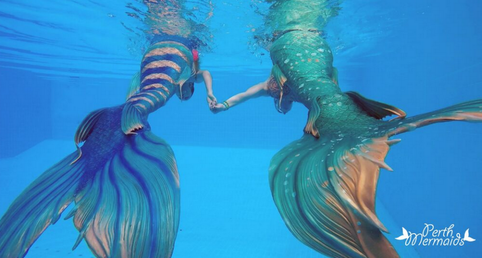 Meet the Perth Mermaids 