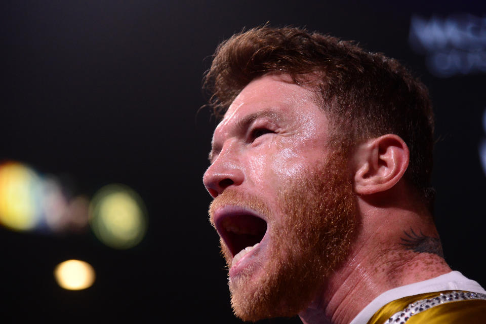 El canal de Youtube Tv Boxeo subió un video con fragmentos del entrenamiento de 'Canelo' para el combate con Bivol, que tiene un invicto de 19 peleas (11 de ellas por nocaut). (Foto: Joe Camporeale-USA TODAY Sports)