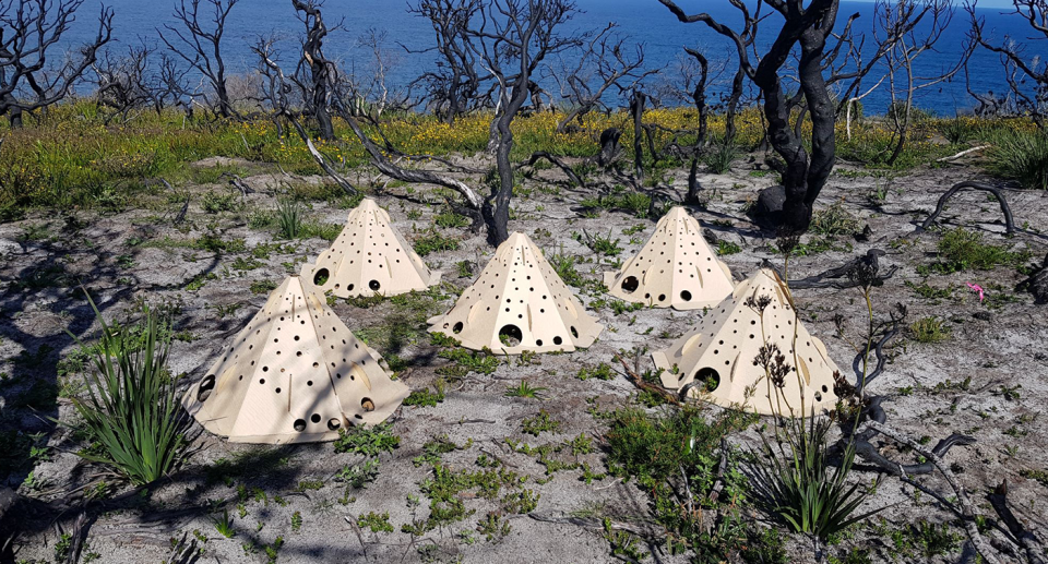 An image of the pods on a burnt out landscape in NSW by the ocean.