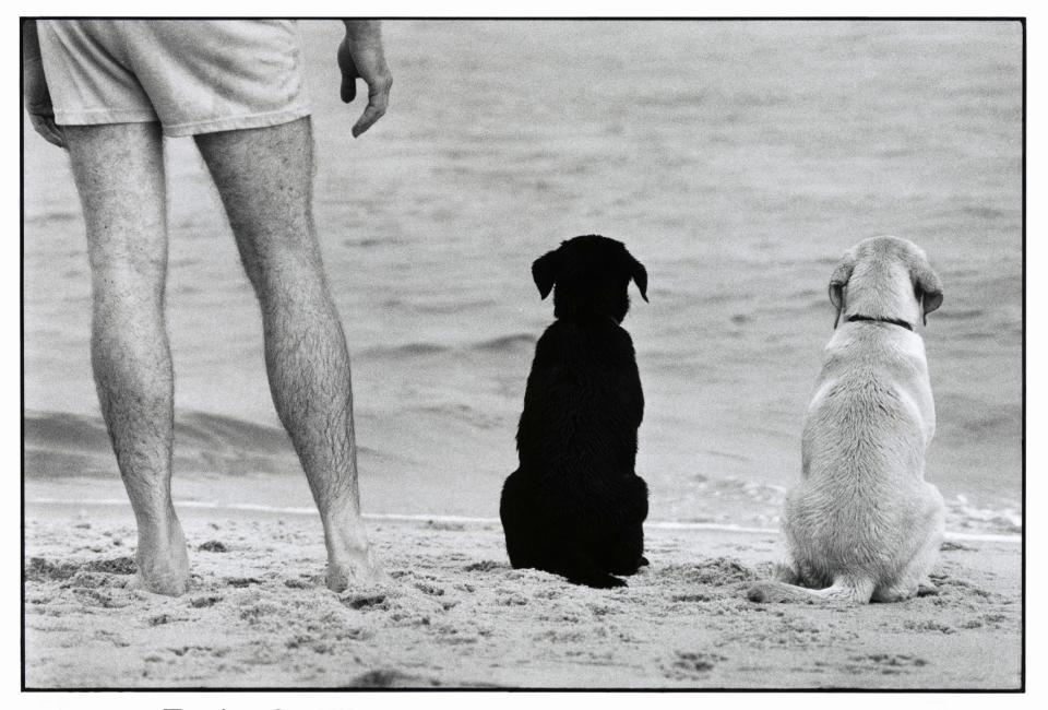 USA. Amagansett, New York. 1990 by Elliott Erwitt