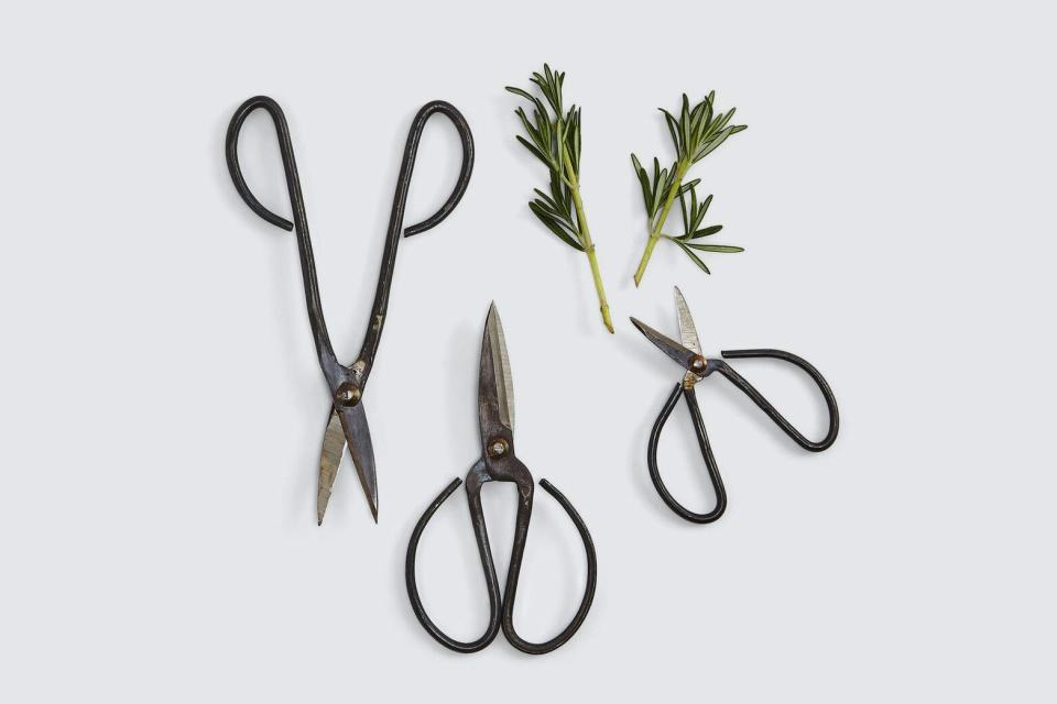 Burke Decor Vintage Finish Garden Shears,