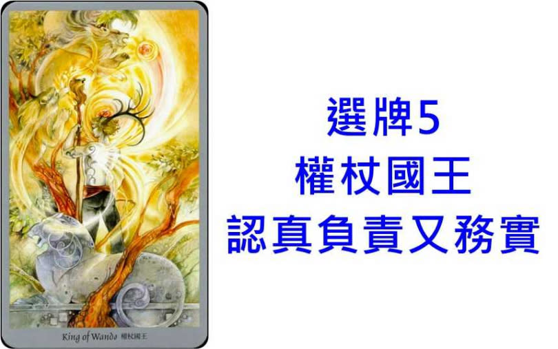 本次塔羅牌使用《幻影精靈塔羅Shadowscapes Tarot》商周出版。