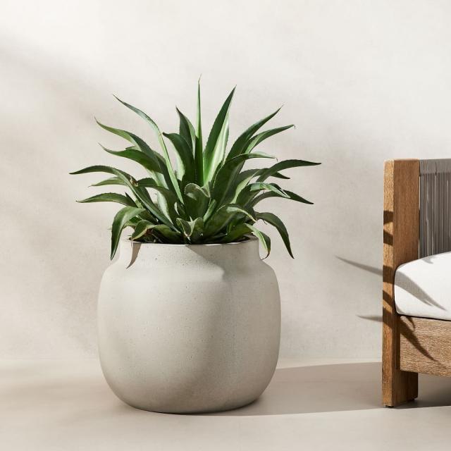 Seagrass Planter Basket Indoor Outdoor, Flower Pots Cover, Plant Pots Containers, Natural, 10 inch La Jolie Muse