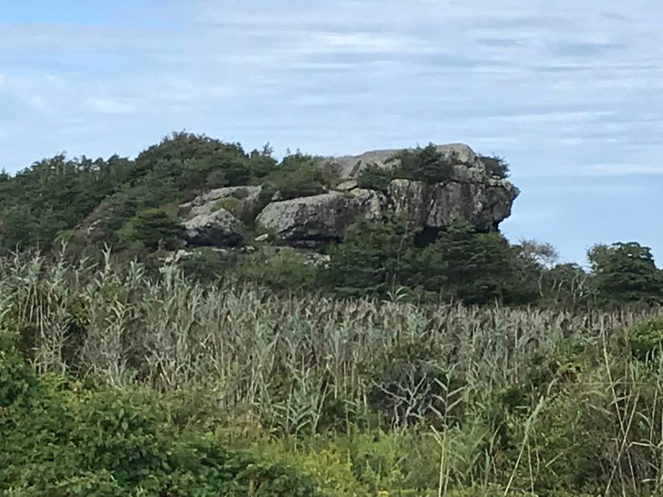 Hanging Rock, in Middletown's Norman Bird Sanctuary, rises 70 feet above a reed-filled marsh and points toward the Atlantic Ocean.