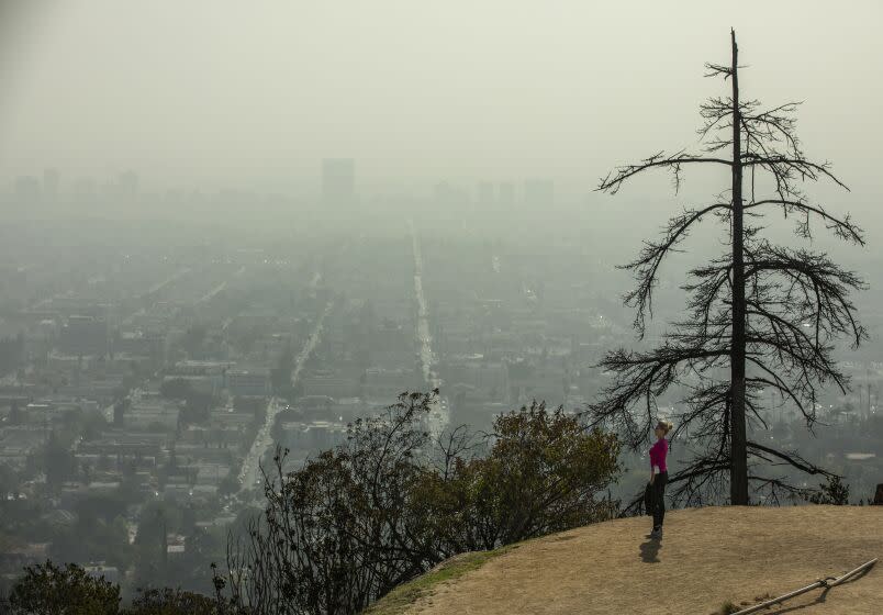 LOS ANGELES, CA - NOVEMBER 08, 2021: Valentina Kostenko of Los Angeles checks out the view from a trail located below the Griffith Observatory in Los Angeles, during a break from an afternoon walk. The South Coast Air Quality Management District on Saturday extended a mandatory prohibition on indoor and outdoor wood burning in much of Southern California through Sunday night due to a forecast of high air pollution in the area. (Mel Melcon / Los Angeles Times)