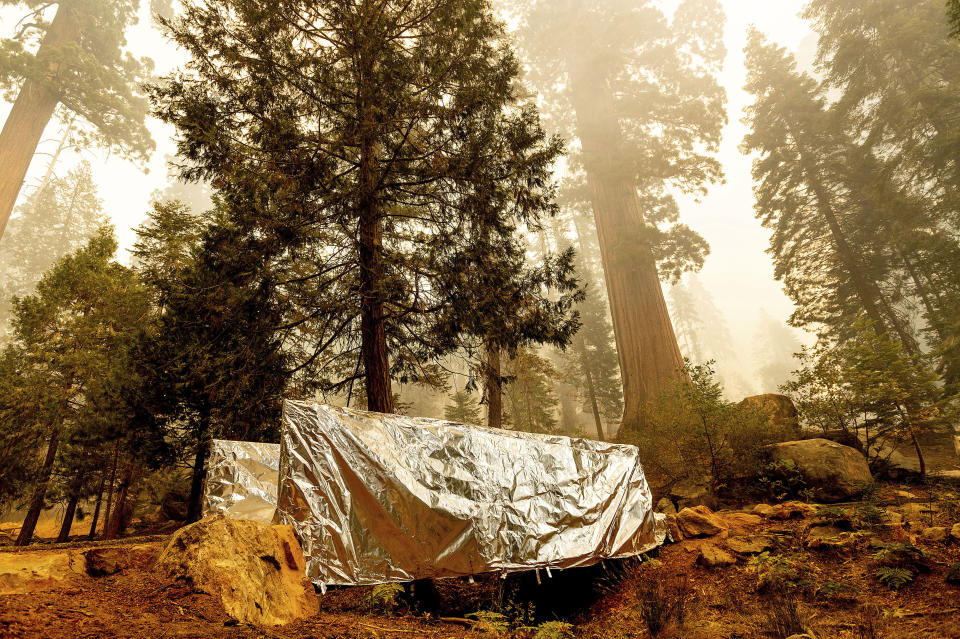 Fire-resistant wrap covers a bridge as the Windy Fire burns in the Trail of 100 Giants grove of Sequoia National Forest, Calif., on Sunday, Sept. 19, 2021. (AP Photo/Noah Berger)