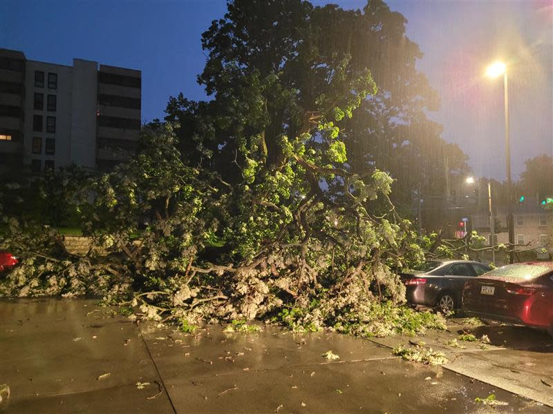 A large tree fell onto cars in an apartment complex on Grand Avenue at 31st Street in Des Moines.