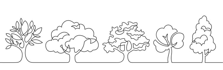 line drawings of trees.