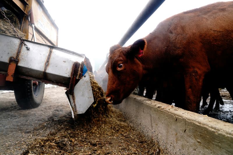 Derrydale Farm in Belle Plaine, Minnesota as Biden campaign pushes for rural voters