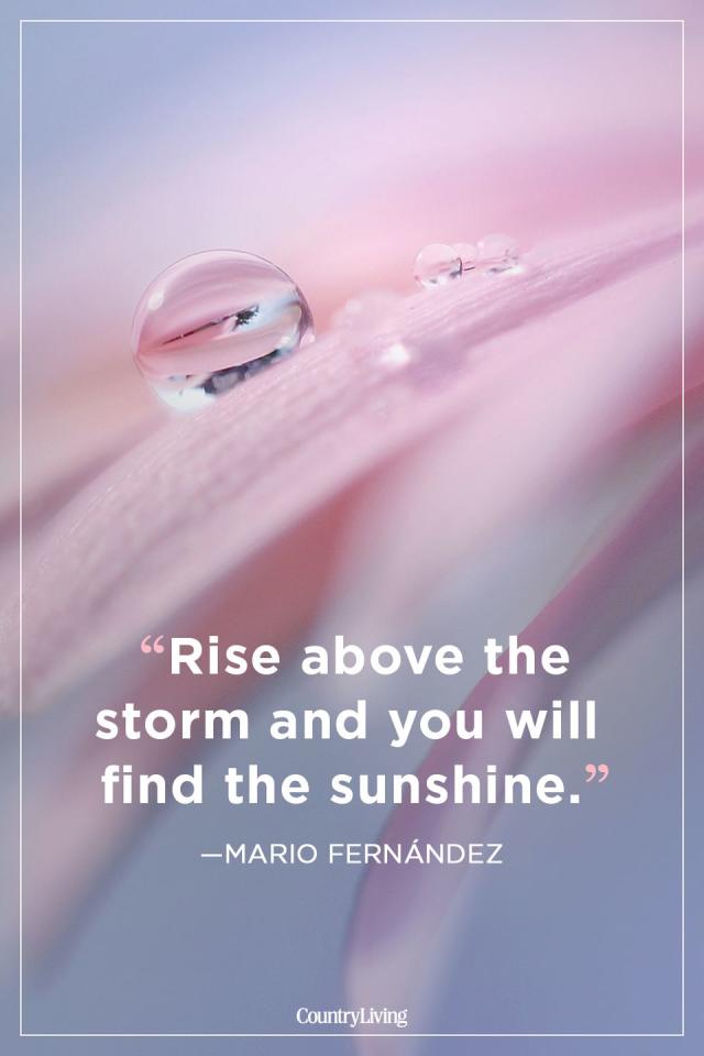 Quotes — Rise above the storm and you will find the