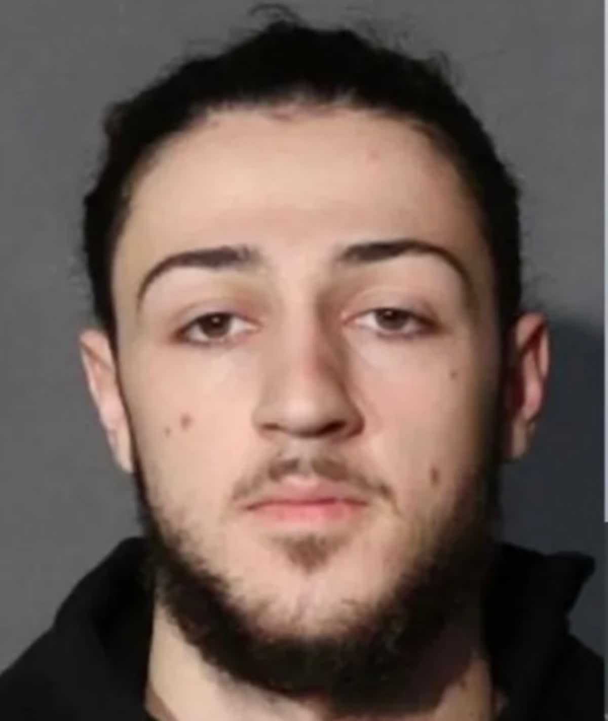 Officials took Antonio Ginestri, 19, into custody on charges of burglary, theft, two counts of conspiracy and employing a juvenile in the commission of a crime this week following a series of alleged burglaries in New Jersey (NYPD)