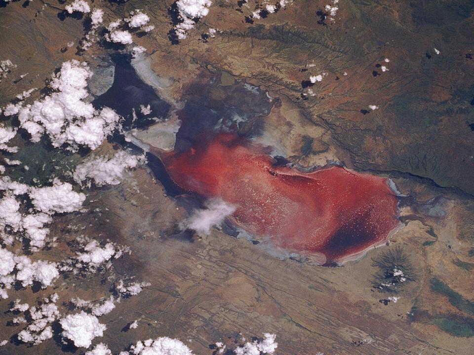 Lake Natron, a red blight in a desertic landscape, is seen here.