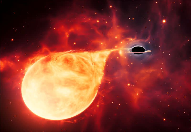 A star being torn apart by an intermediate-mass black hole, surrounded by an accretion disc