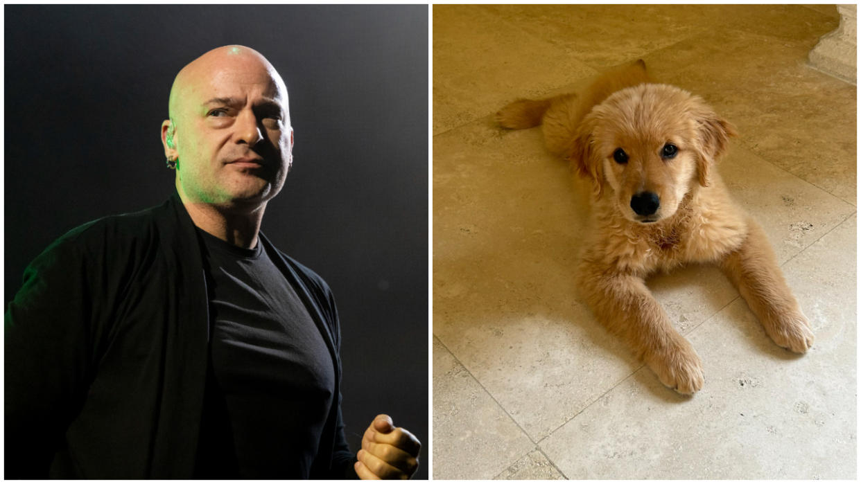  David Draiman, and his puppy Charlotte. 