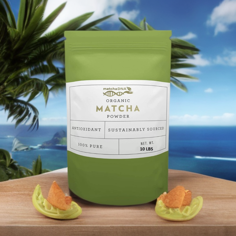 The prompt for this image from Dillie was: Matcha DNA bag sitting on a countertop in front of the ocean with blue skies and clouds.