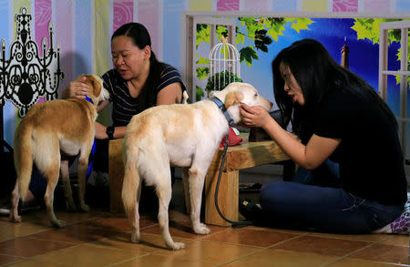 Pet lovers with shelter dogs during a "Date with Dogs", to further strengthen pet owner's love for their animal pals, ahead of the Valentine's Day, inside the Philippine Animal Welfare Society (PAWS) headquarters in Quezon city, metro Manila, Philippines February 13, 2018. REUTERS/Romeo Ranoco
