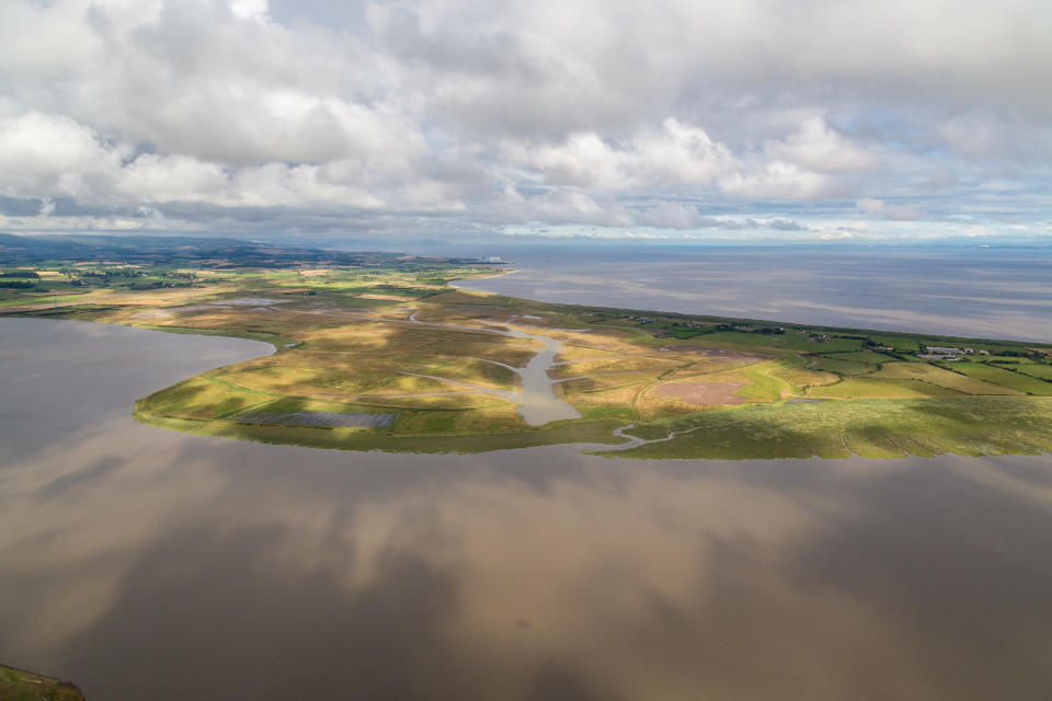 WWT Steart Marshes coastal wetlands and part of new Somerset Wetlands NNR (WWT/PA)