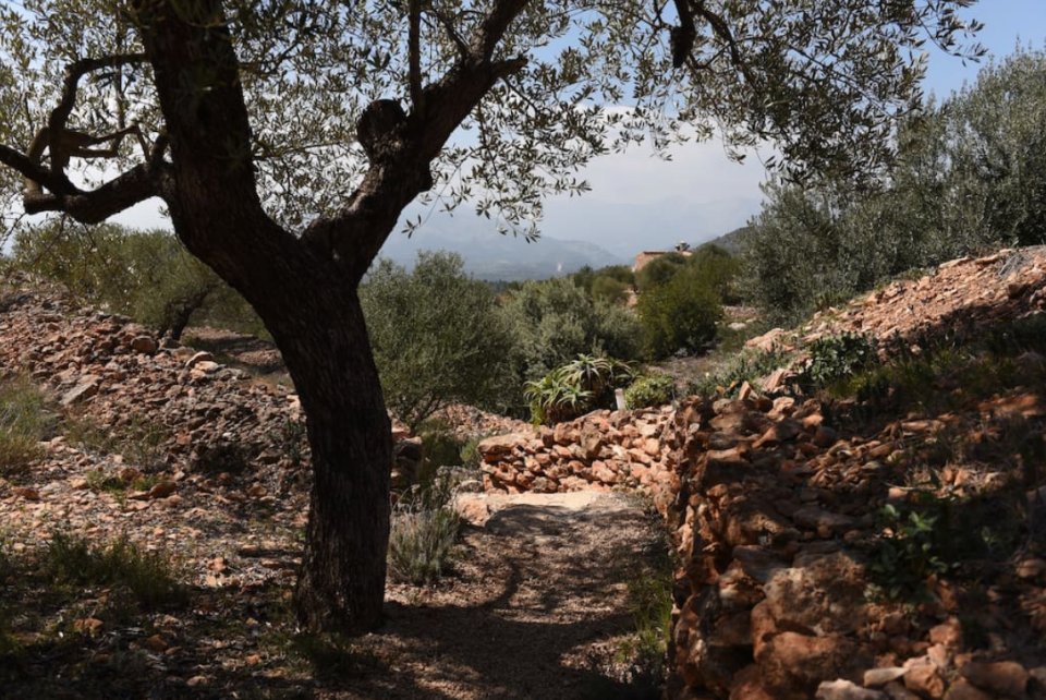 <p>The beautiful cave home was built in the nook of an ancient olive terrace. It is also just a 40-minute drive to Els Ports nature park and 35 kilometres from the Mediterranean coast. (Airbnb) </p>