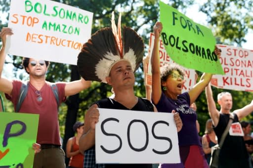 Demonstrations have been held across the world calling for action to protect the Amazon