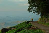 <strong>6. WAYANAD</strong><br>If you aren't into 'relaxed vacations' Wayanad is just the place for you. It's brimming with energy unlike cities. Blessed with nature's best - the Muthanga Wildlife Sanctuary, Chembra Peak and Edakkal Cave, there are many attractions Wayanad boasts of. Do some wildlife spotting or climb a hill, will ya? Reaching Wayanad is convenient as it is well-connected to Kozhikode, Kannur, Ooty and Mysore. HolidayIQ traveller Arundhuti from Bangalore avers, "There are three things to do in Wayanad - trekking, trekking and trekking."