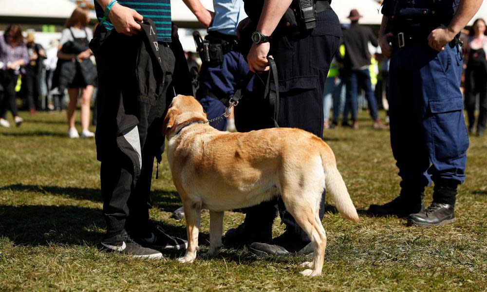 <span>Photograph: Mark Metcalfe/Getty Images</span>