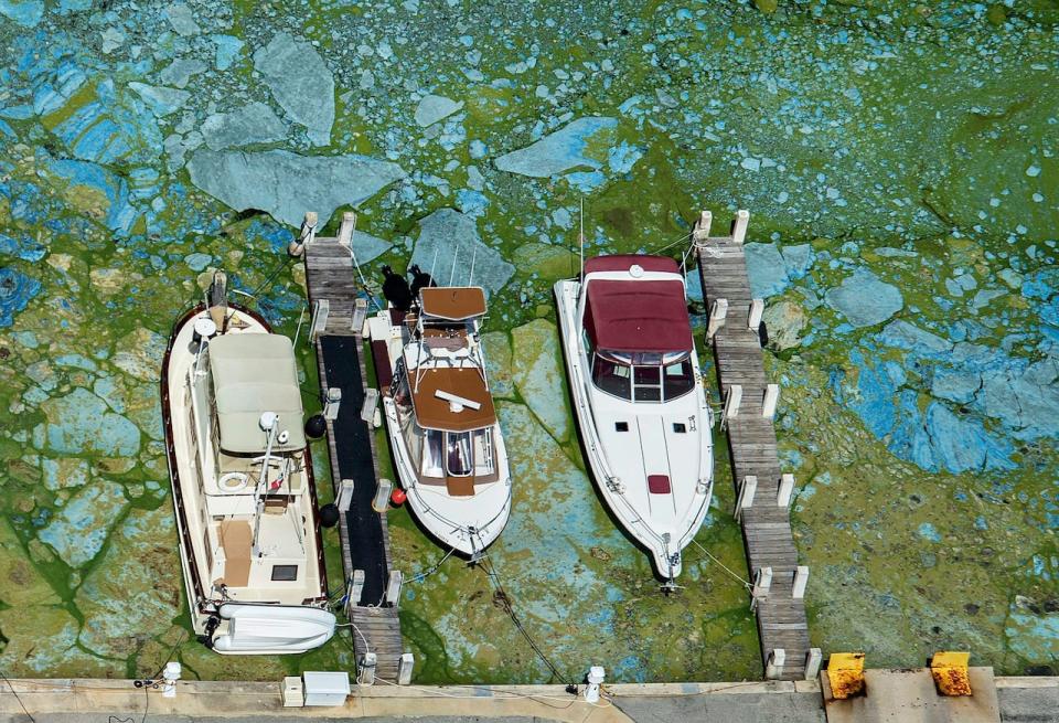 Boats docked at Central Marine in Stuart, Fla., are surrounded by blue green algae, Wednesday, June 29, 2016. Officials want federal action along the stretch of Florida's Atlantic coast where the governor has declared a state of emergency over algae blooms. The Martin County Commission is inviting the president to view deteriorating water conditions that local officials blame on freshwater being released from the lake, according to a statement released Wednesday. (Greg Lovett/The Palm Beach Post via AP)