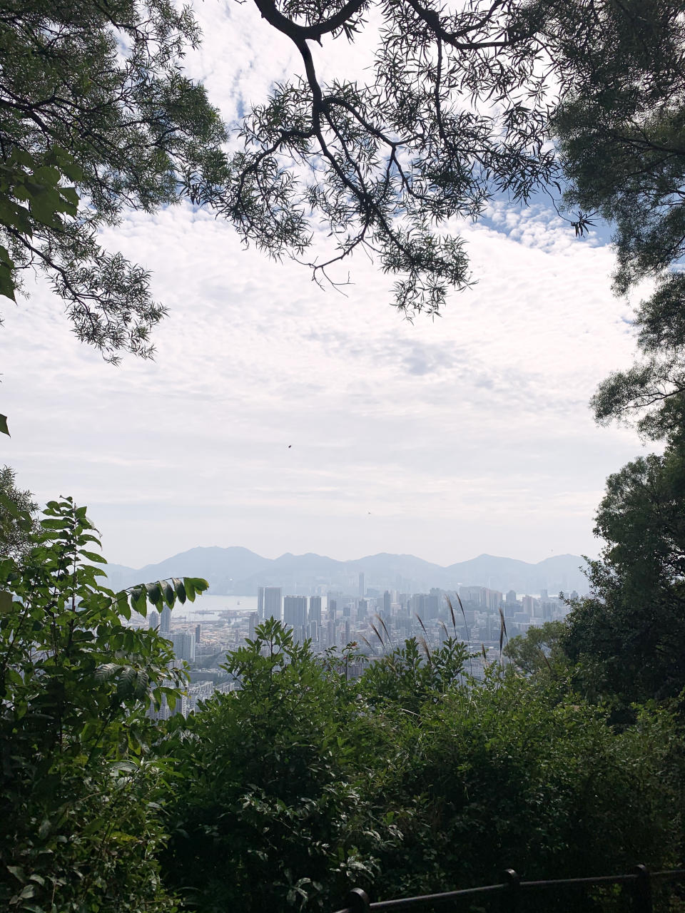 行山路線｜筆架山簡易三小時登山徑！俯瞰九龍半島景色