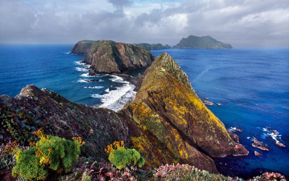 Anacapa Island, Channel Islands National Park, California