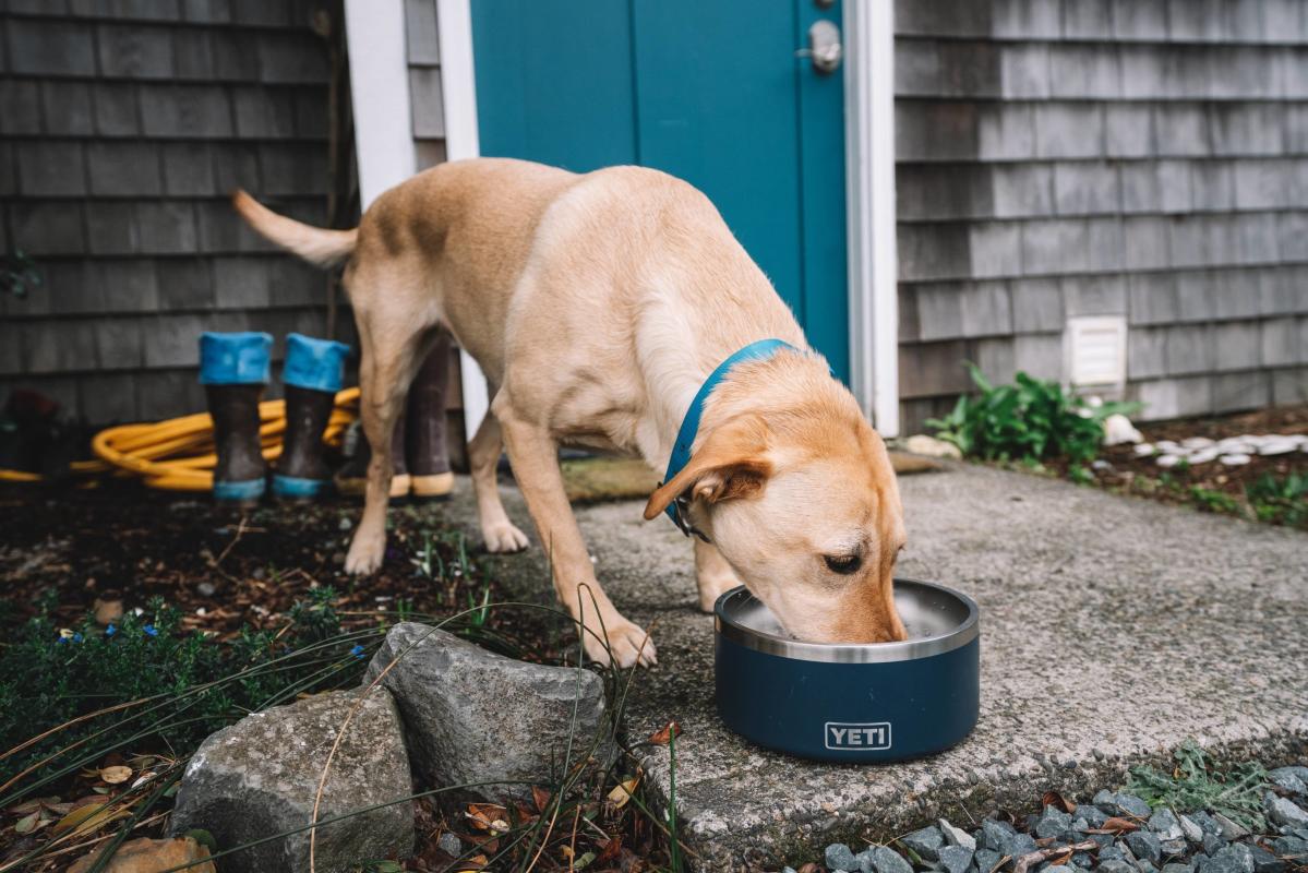 YETI: BAGS AND ACCESSORIES, YETI BOOMER 4 DOG BOWL