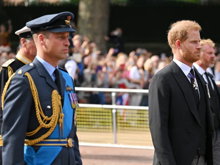 Prince William and Prince Harry process behind Queen Elizabeth's coffin.