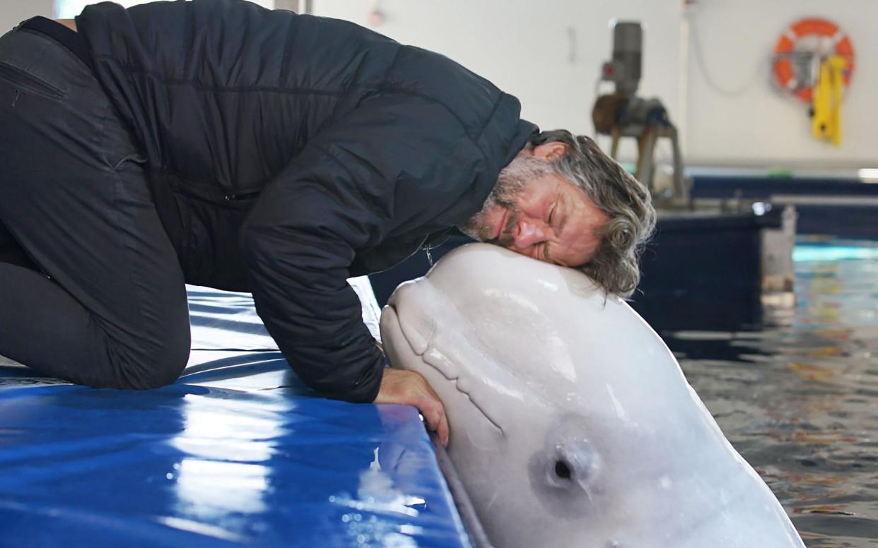 John Bishop’s Great Whale Rescue - ITV