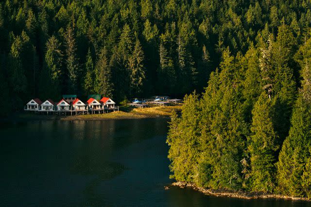 <p>Jeremy Koreski</p> At Nimmo Bay Resort, guests can choose from two types of cabins: an ocean-facing intertidal cabin, or forest cabins facing a waterfall